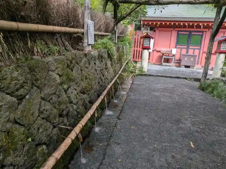 富士山本宮浅間大社(静岡県)