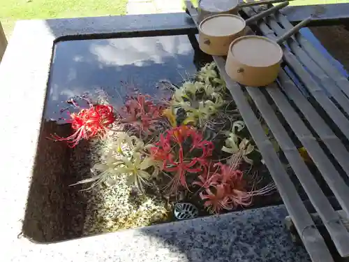 横浜　西方寺の手水舎