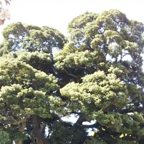 九重神社の自然