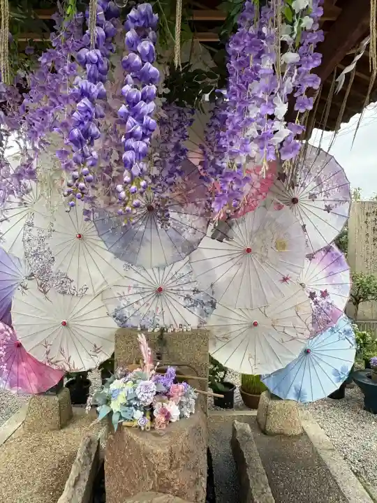水堂須佐男神社の{uncategorized: "未分類", other: "その他", undefined: "問題あり", building: "その他建物", grave: "お墓", sacred_gate: "鳥居", guardian: "狛犬", statue: "像", buddha: "仏像", history: "歴史", nature: "自然", garden: "庭園", animal: "動物", pagoda: "塔", temizu: "手水舎", mountain_gate: "山門・神門", sanctuary: "本殿・本堂", subordinate: "末社・摂社", art: "芸術", scenery: "景色", jizo: "地蔵", ema: "絵馬", goshuin: "御朱印", omikuji: "おみくじ", items: "授与品その他", amulet: "お守り", goshuincho: "御朱印帳", eats: "食事", festival: "お祭り", votive_dance: "神楽", shichigosan: "七五三参", wedding: "結婚式", experience: "体験その他", initially: "初詣", around: "周辺", anti_infection: "感染症対策"}