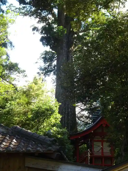 十根川神社(宮崎県)