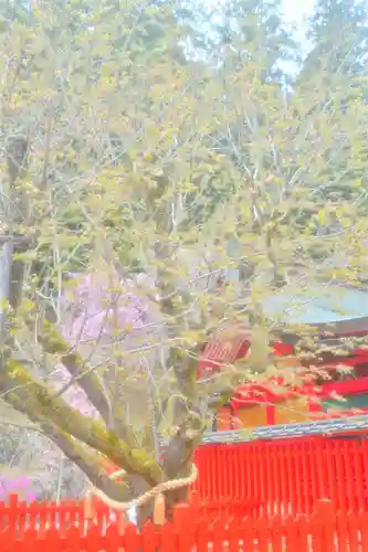 金櫻神社(山梨県)