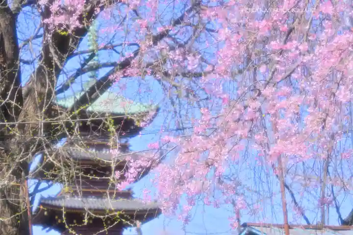 上野東照宮(東京都)