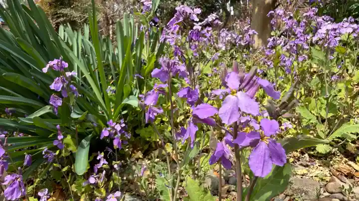 岩之上堂(埼玉県)