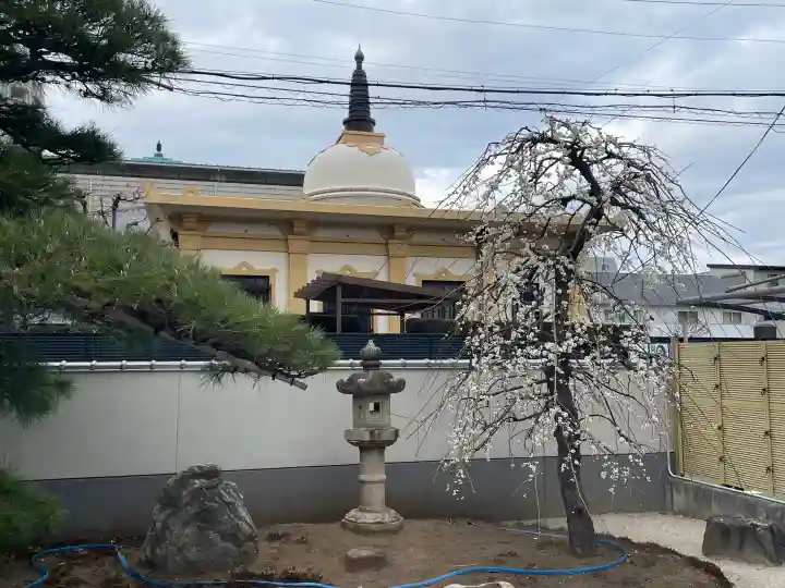 専西寺の{uncategorized: "未分類", other: "その他", undefined: "問題あり", building: "その他建物", grave: "お墓", sacred_gate: "鳥居", guardian: "狛犬", statue: "像", buddha: "仏像", history: "歴史", nature: "自然", garden: "庭園", animal: "動物", pagoda: "塔", temizu: "手水舎", mountain_gate: "山門・神門", sanctuary: "本殿・本堂", subordinate: "末社・摂社", art: "芸術", scenery: "景色", jizo: "地蔵", ema: "絵馬", goshuin: "御朱印", omikuji: "おみくじ", items: "授与品その他", amulet: "お守り", goshuincho: "御朱印帳", eats: "食事", festival: "お祭り", votive_dance: "神楽", shichigosan: "七五三参", wedding: "結婚式", experience: "体験その他", initially: "初詣", around: "周辺", anti_infection: "感染症対策"}