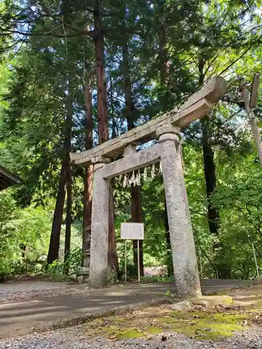 萩神社の鳥居