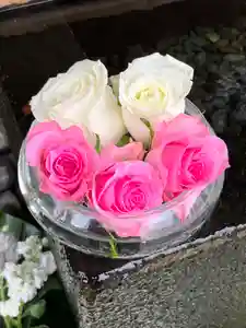 上尾御嶽神社の手水舎(2022年11月26日(土) 11時20分41秒投稿)