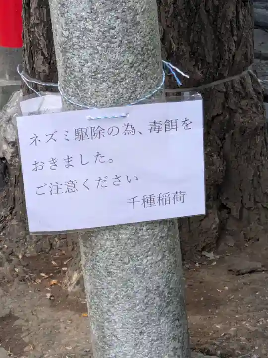 千種稲荷神社の動物
