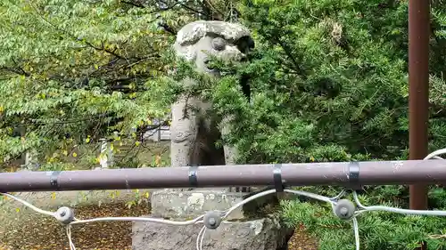 弟子屈神社の狛犬