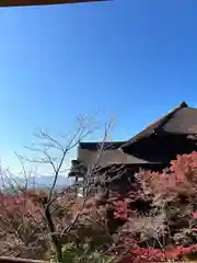 清水寺(京都府)