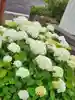 TARAKOさんのプロフィール画像
