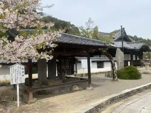 粉河寺の{uncategorized: "未分類", other: "その他", undefined: "問題あり", building: "その他建物", grave: "お墓", sacred_gate: "鳥居", guardian: "狛犬", statue: "像", buddha: "仏像", history: "歴史", nature: "自然", garden: "庭園", animal: "動物", pagoda: "塔", temizu: "手水舎", mountain_gate: "山門・神門", sanctuary: "本殿・本堂", subordinate: "末社・摂社", art: "芸術", scenery: "景色", jizo: "地蔵", ema: "絵馬", goshuin: "御朱印", omikuji: "おみくじ", items: "授与品その他", amulet: "お守り", goshuincho: "御朱印帳", eats: "食事", festival: "お祭り", votive_dance: "神楽", shichigosan: "七五三参", wedding: "結婚式", experience: "体験その他", initially: "初詣", around: "周辺", anti_infection: "感染症対策"}