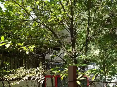 素盞嗚神社(兵庫県)