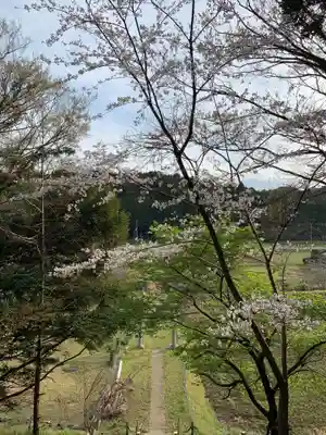 日枝神社の自然
