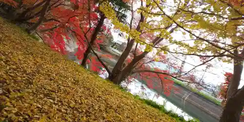 出雲大神宮の自然