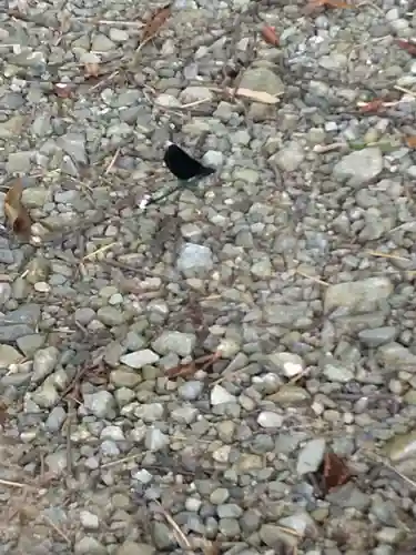 子眉嶺神社(福島県)