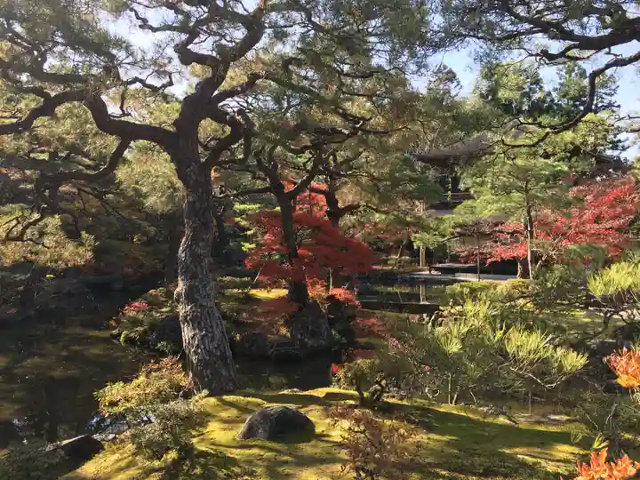 慈照寺(慈照禅寺・銀閣寺)のその他建物