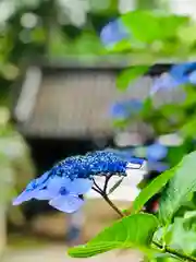 楽法寺（雨引観音）の自然