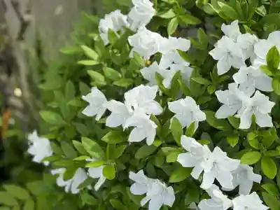 西方山極楽寺(岐阜県)