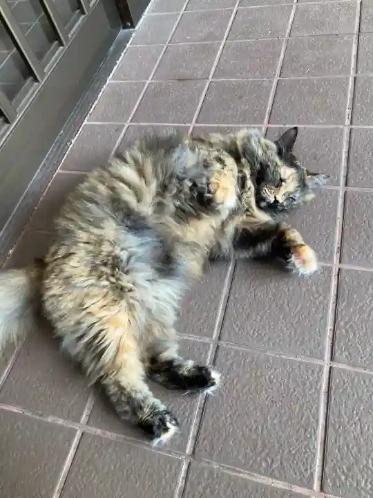 滝川神社(北海道)