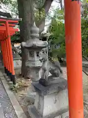 九所御霊天神社の狛犬