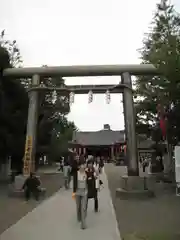 浅草神社の鳥居