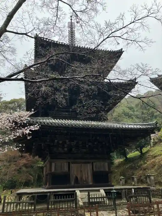 一乗寺のその他建物