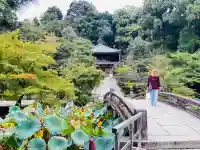 知恩院の{uncategorized: "未分類", other: "その他", undefined: "問題あり", building: "その他建物", grave: "お墓", sacred_gate: "鳥居", guardian: "狛犬", statue: "像", buddha: "仏像", history: "歴史", nature: "自然", garden: "庭園", animal: "動物", pagoda: "塔", temizu: "手水舎", mountain_gate: "山門・神門", sanctuary: "本殿・本堂", subordinate: "末社・摂社", art: "芸術", scenery: "景色", jizo: "地蔵", ema: "絵馬", goshuin: "御朱印", omikuji: "おみくじ", items: "授与品その他", amulet: "お守り", goshuincho: "御朱印帳", eats: "食事", festival: "お祭り", votive_dance: "神楽", shichigosan: "七五三参", wedding: "結婚式", experience: "体験その他", initially: "初詣", around: "周辺", anti_infection: "感染症対策"}