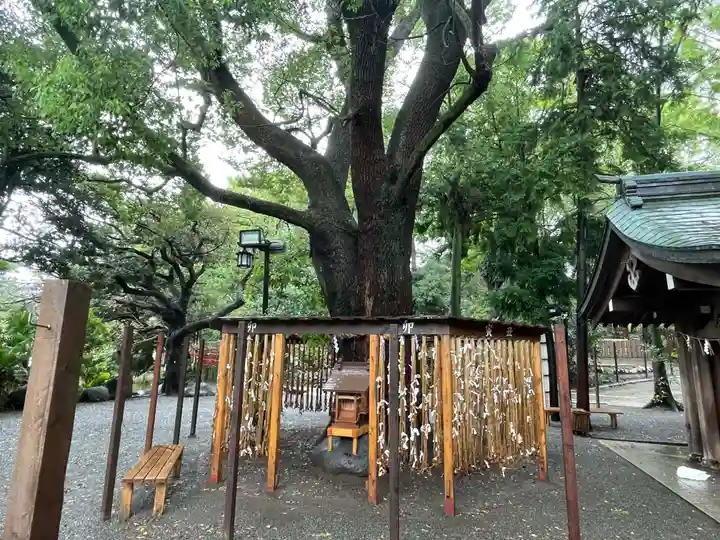 平塚八幡宮(神奈川県)
