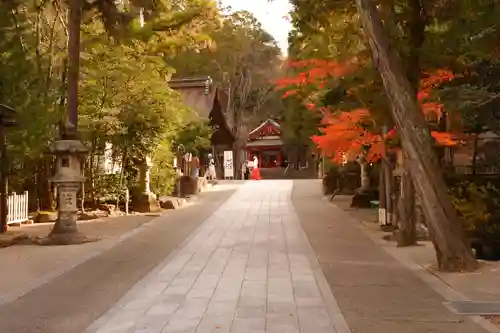 大縣神社(愛知県)