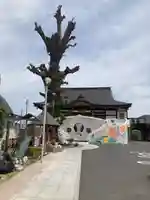 清福寺(埼玉県)