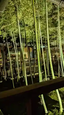 妙顯寺（妙顕寺）(京都府)