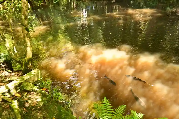 石上神宮(奈良県)
