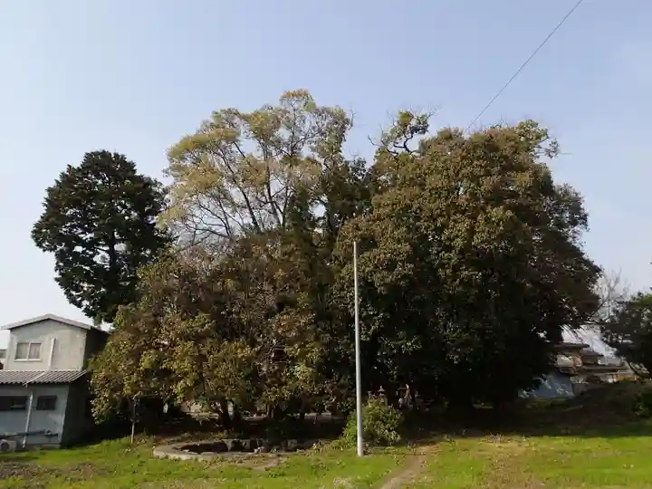 天照御魂神社の景色