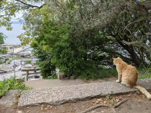豊玉姫神社(香川県)