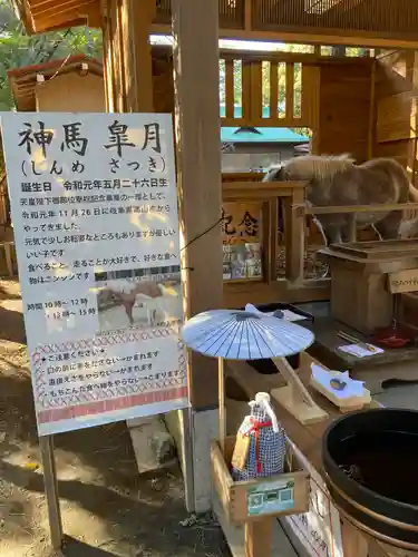 平塚八幡宮(神奈川県)