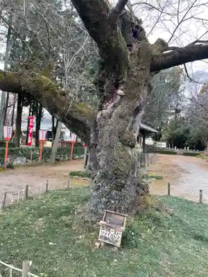 世良田東照宮(群馬県)