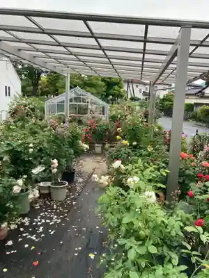 艫神社(茨城県)