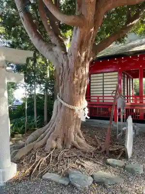 玉前神社(千葉県)
