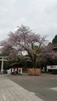 出雲大社相模分祠(神奈川県)