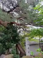 妙安寺の{uncategorized: "未分類", other: "その他", undefined: "問題あり", building: "その他建物", grave: "お墓", sacred_gate: "鳥居", guardian: "狛犬", statue: "像", buddha: "仏像", history: "歴史", nature: "自然", garden: "庭園", animal: "動物", pagoda: "塔", temizu: "手水舎", mountain_gate: "山門・神門", sanctuary: "本殿・本堂", subordinate: "末社・摂社", art: "芸術", scenery: "景色", jizo: "地蔵", ema: "絵馬", goshuin: "御朱印", omikuji: "おみくじ", items: "授与品その他", amulet: "お守り", goshuincho: "御朱印帳", eats: "食事", festival: "お祭り", votive_dance: "神楽", shichigosan: "七五三参", wedding: "結婚式", experience: "体験その他", initially: "初詣", around: "周辺", anti_infection: "感染症対策"}