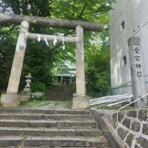 愛宕神社の{uncategorized: "未分類", other: "その他", undefined: "問題あり", building: "その他建物", grave: "お墓", sacred_gate: "鳥居", guardian: "狛犬", statue: "像", buddha: "仏像", history: "歴史", nature: "自然", garden: "庭園", animal: "動物", pagoda: "塔", temizu: "手水舎", mountain_gate: "山門・神門", sanctuary: "本殿・本堂", subordinate: "末社・摂社", art: "芸術", scenery: "景色", jizo: "地蔵", ema: "絵馬", goshuin: "御朱印", omikuji: "おみくじ", items: "授与品その他", amulet: "お守り", goshuincho: "御朱印帳", eats: "食事", festival: "お祭り", votive_dance: "神楽", shichigosan: "七五三参", wedding: "結婚式", experience: "体験その他", initially: "初詣", around: "周辺", anti_infection: "感染症対策"}