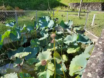 神谷山禅瀧寺の自然