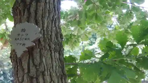 北海道神宮のその他建物