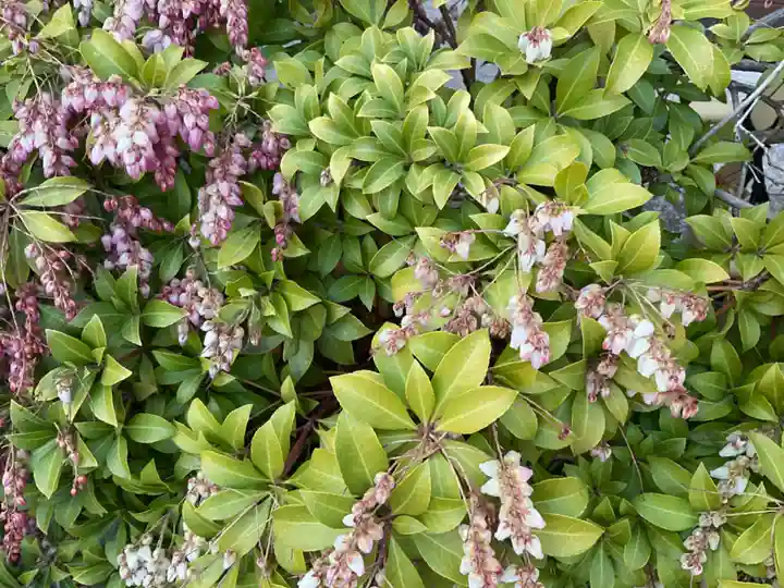 浅草寺(東京都)
