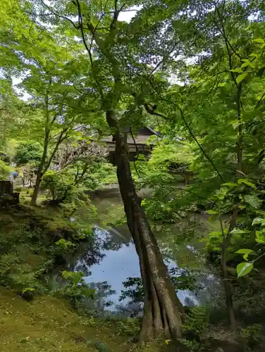 南禅院(京都府)