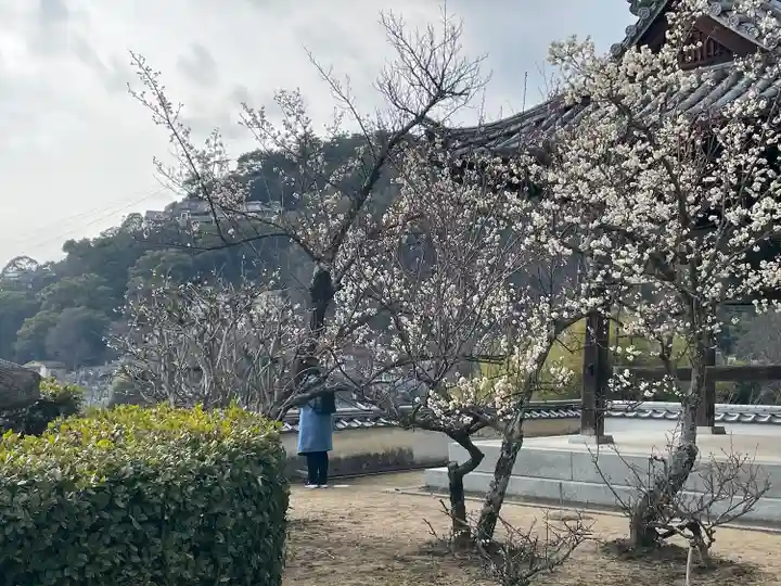 大山寺(広島県)