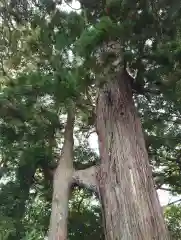 熊野那智神社(宮城県)