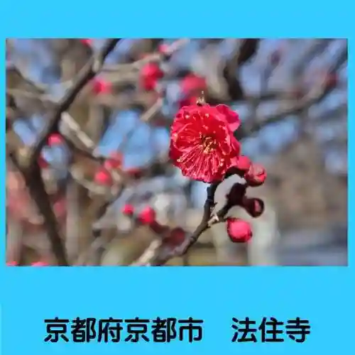 後白河院御聖蹟　法住寺の自然