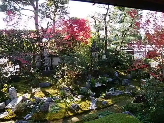 養徳院の庭園
